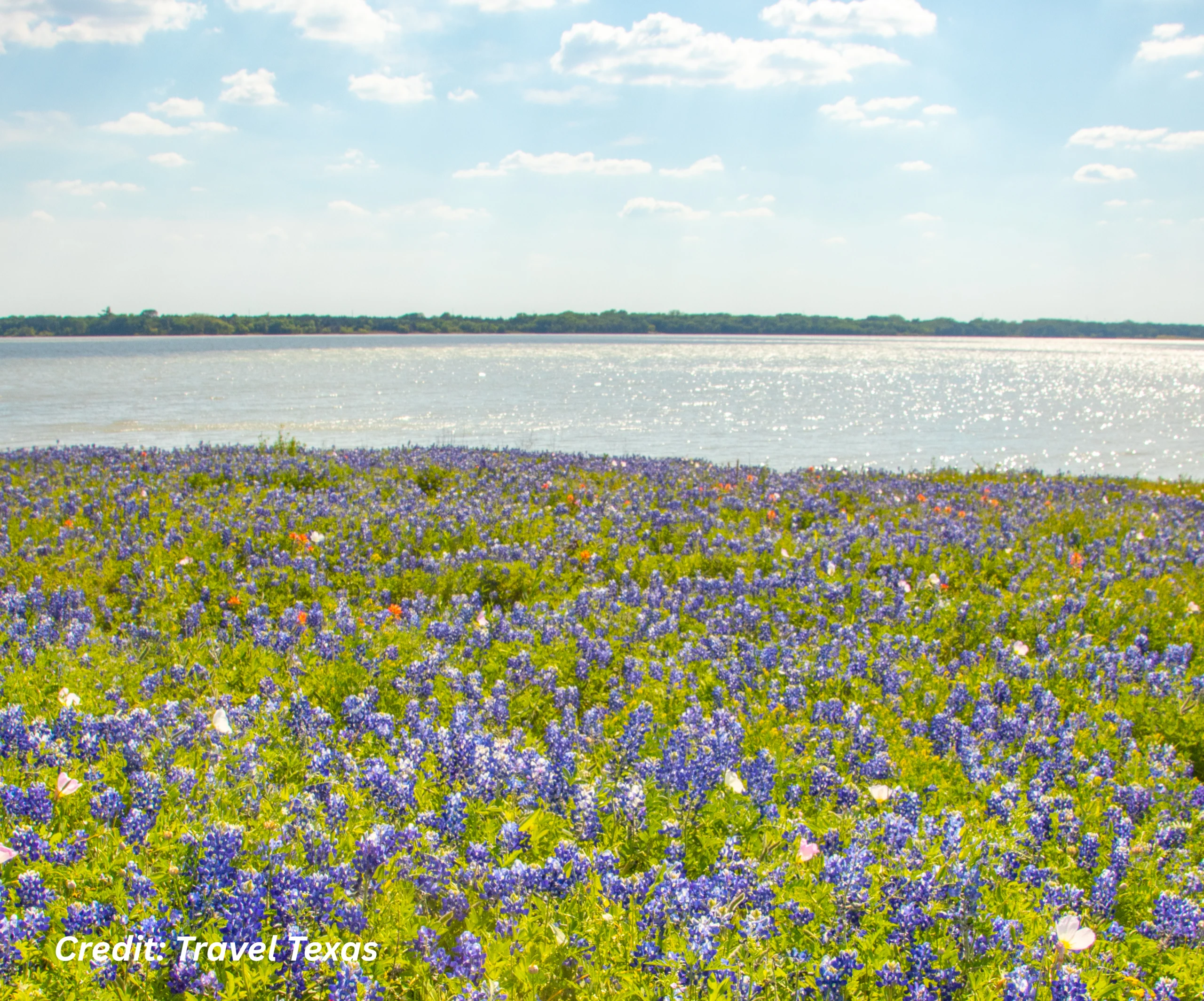 Credit Travel Texas